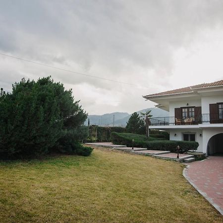 Villa Mythic House Leptokaryá Exterior foto